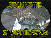 image-654