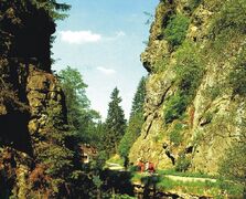 Steinachklamm_2